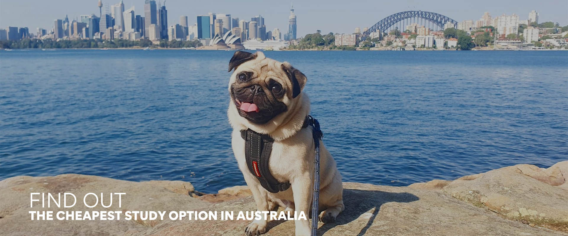 explore_cheapest_course_australia